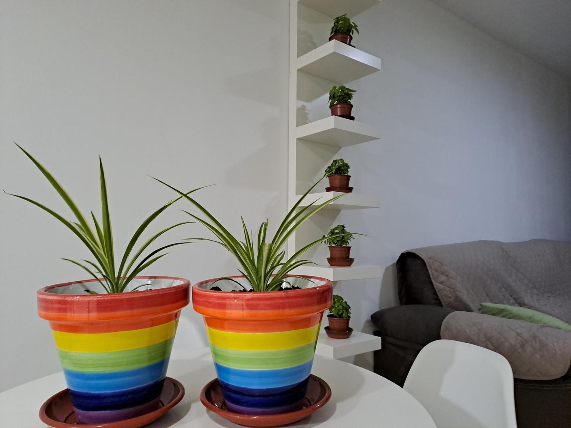 Apartamento Toyo, Parque Natural Cabo De Gata Apartman Almería Kültér fotó